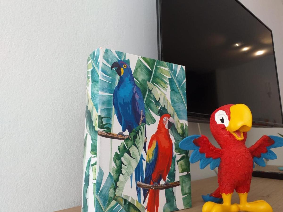 Appartement Tropical Loft à Corralejo Extérieur photo