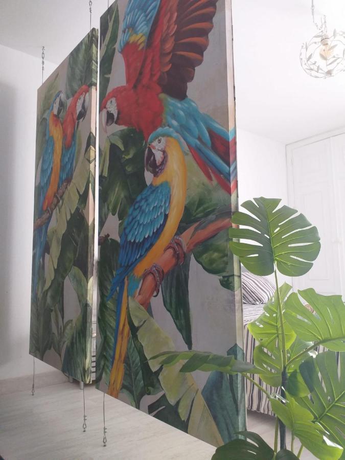 Appartement Tropical Loft à Corralejo Extérieur photo